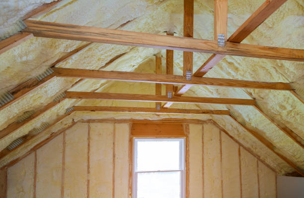Best Crawl Space Insulation  in St Joseph, MO