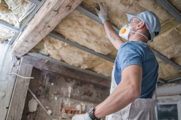 Best Attic Insulation Near Me  in St Joseph, MO