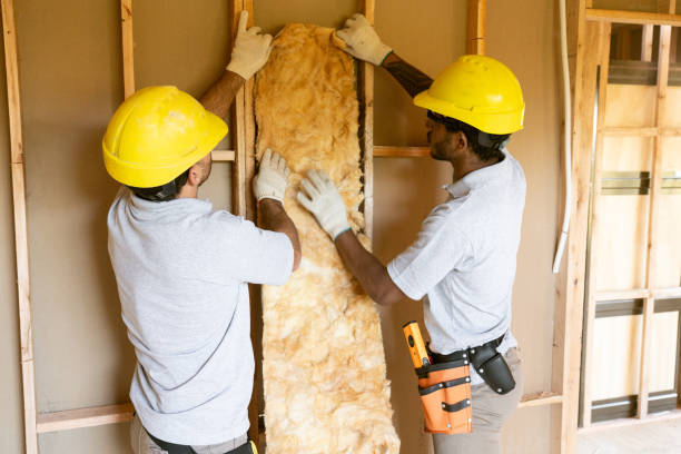 Best Insulation Inspection Services  in St Joseph, MO
