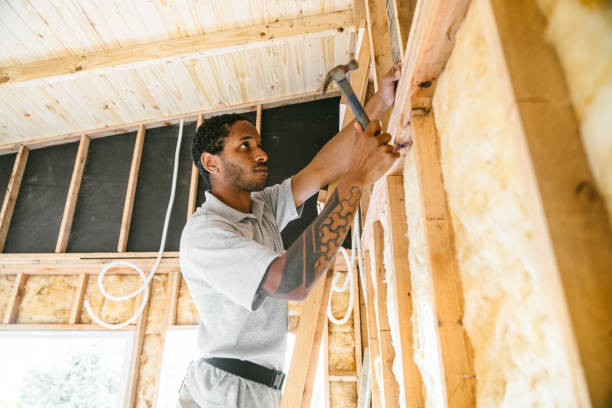 Best Insulation Contractor Near Me  in St Joseph, MO