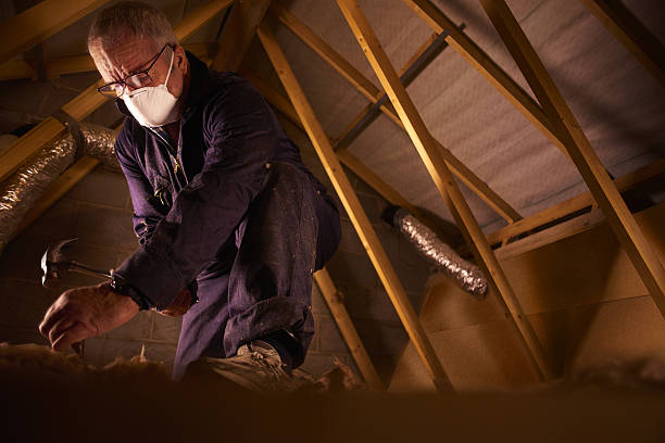 Best Insulation Inspection Services  in St Joseph, MO